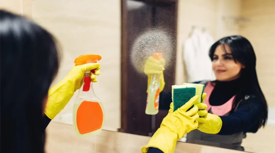 cleaner-2
